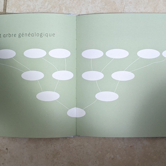 L' Album de Bebe Photographies de Michele Constantini (Very Good/Never Used) - Picture 6 of 7